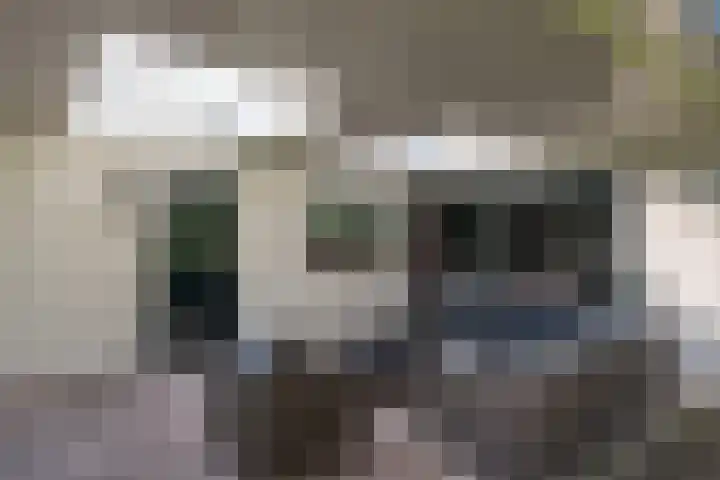 Moormanlaan 9 Knegsel thumbnail 53