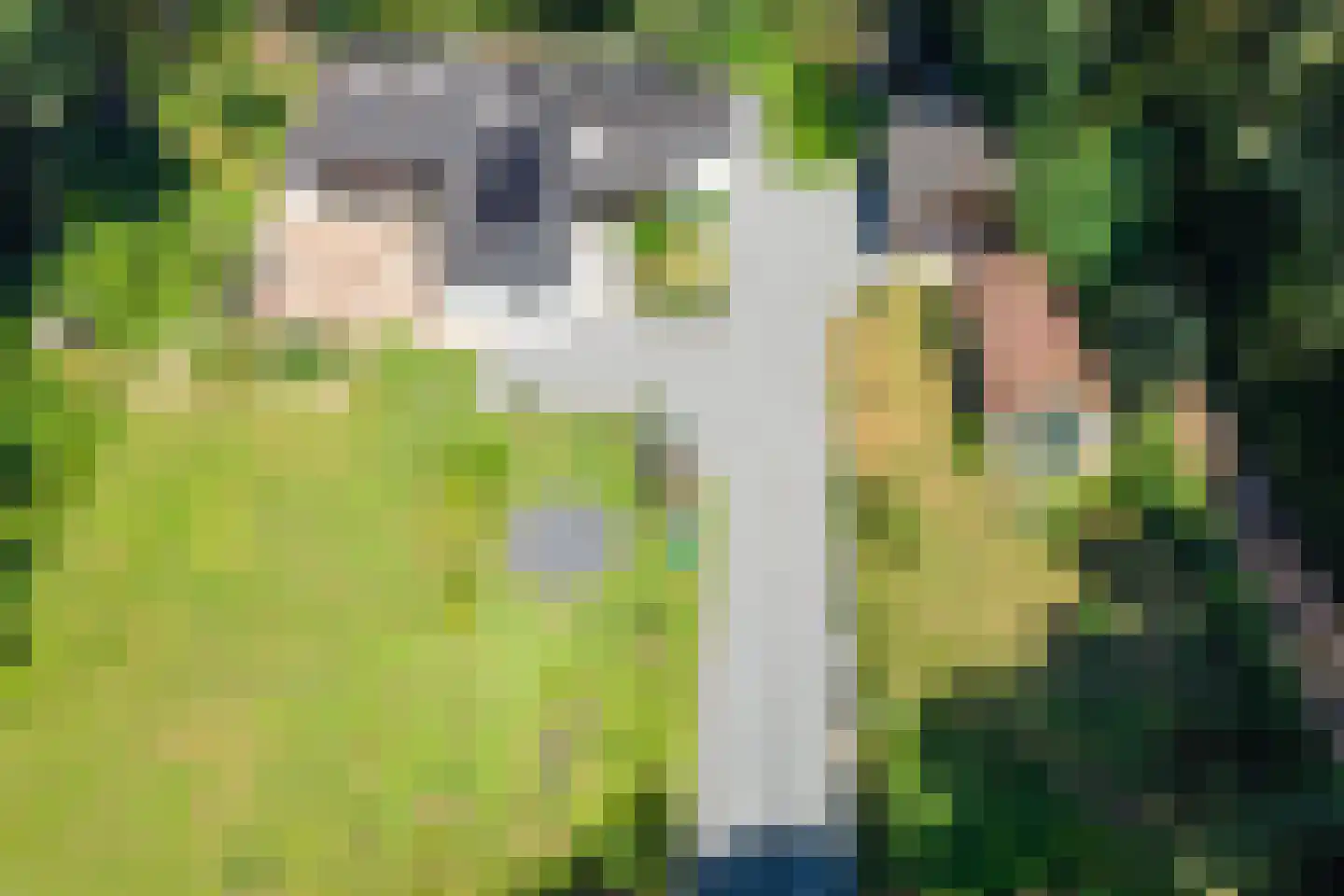 Moormanlaan 9 Knegsel thumbnail 53