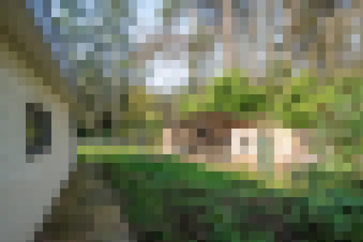 Moormanlaan 9 Knegsel thumbnail 54