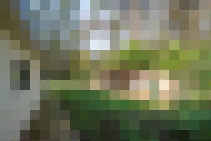 Moormanlaan 9 Knegsel thumbnail 54