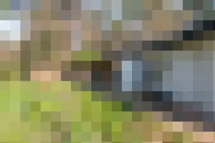 Moormanlaan 9 Knegsel thumbnail 55