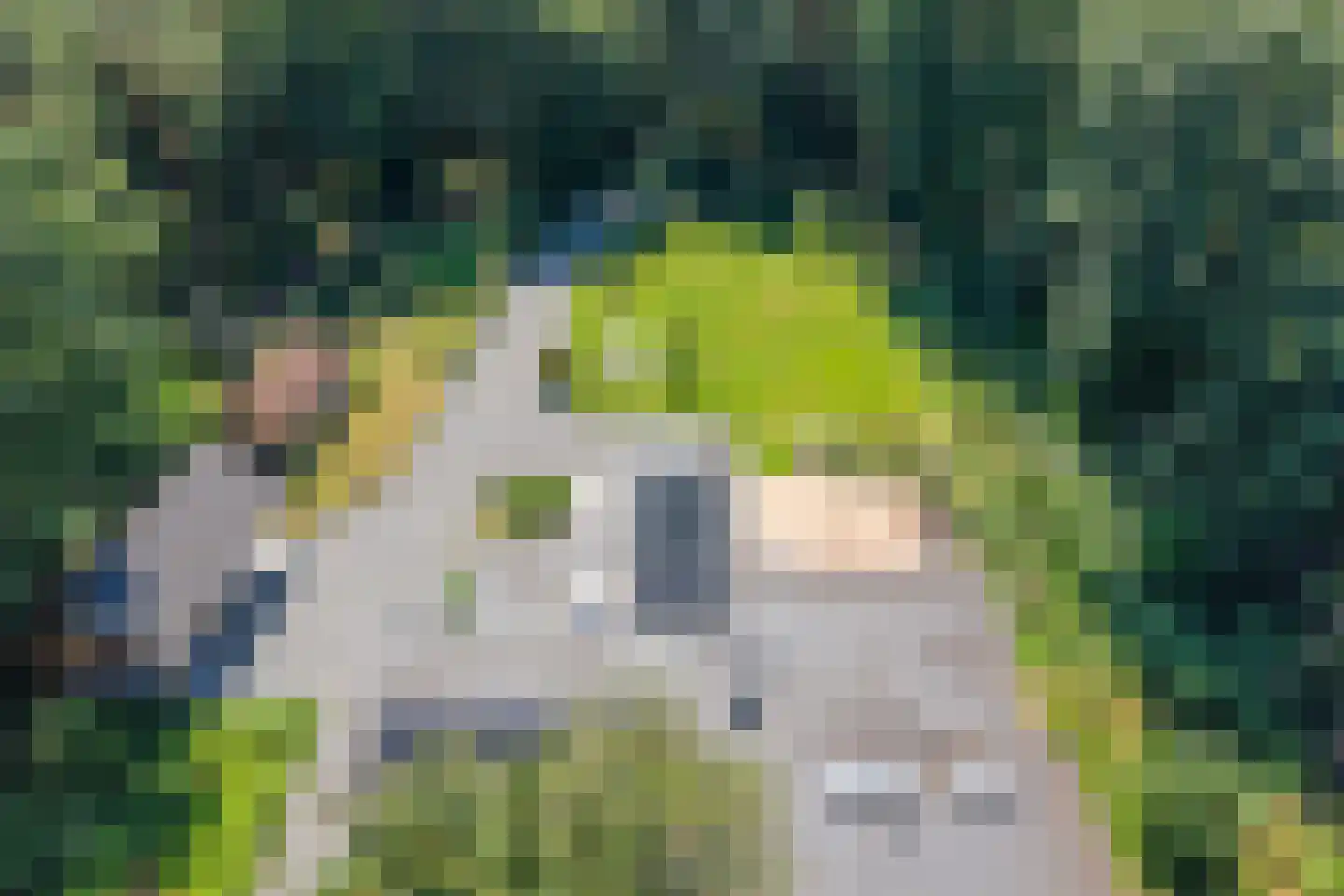 Moormanlaan 9 Knegsel thumbnail 55