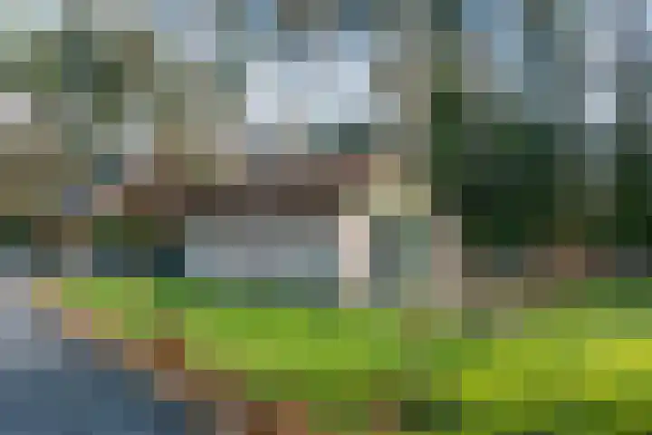 Moormanlaan 9 Knegsel thumbnail 57