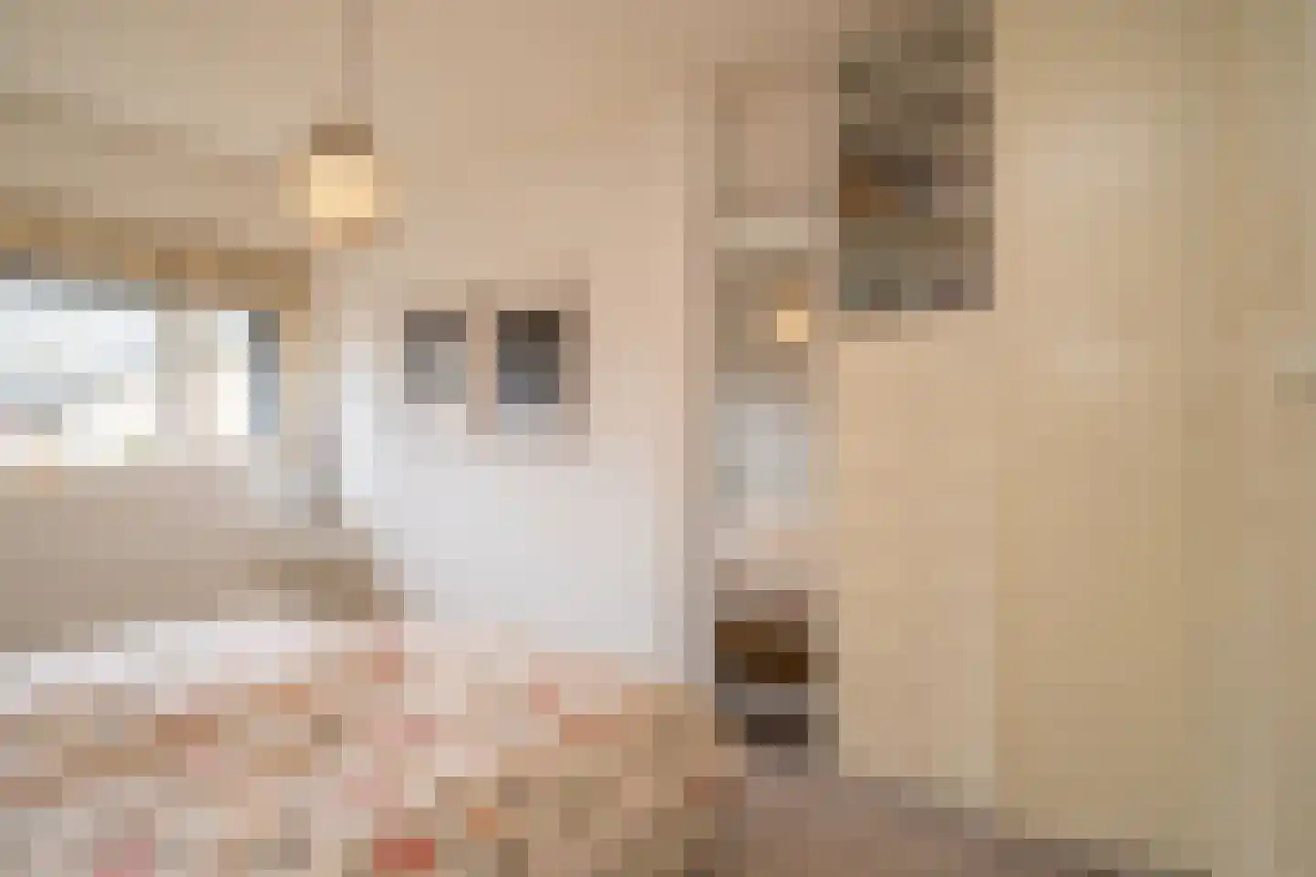 Moormanlaan 9 Knegsel thumbnail 6