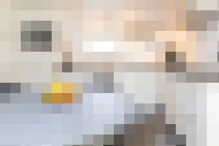 Moormanlaan 9 Knegsel thumbnail 62