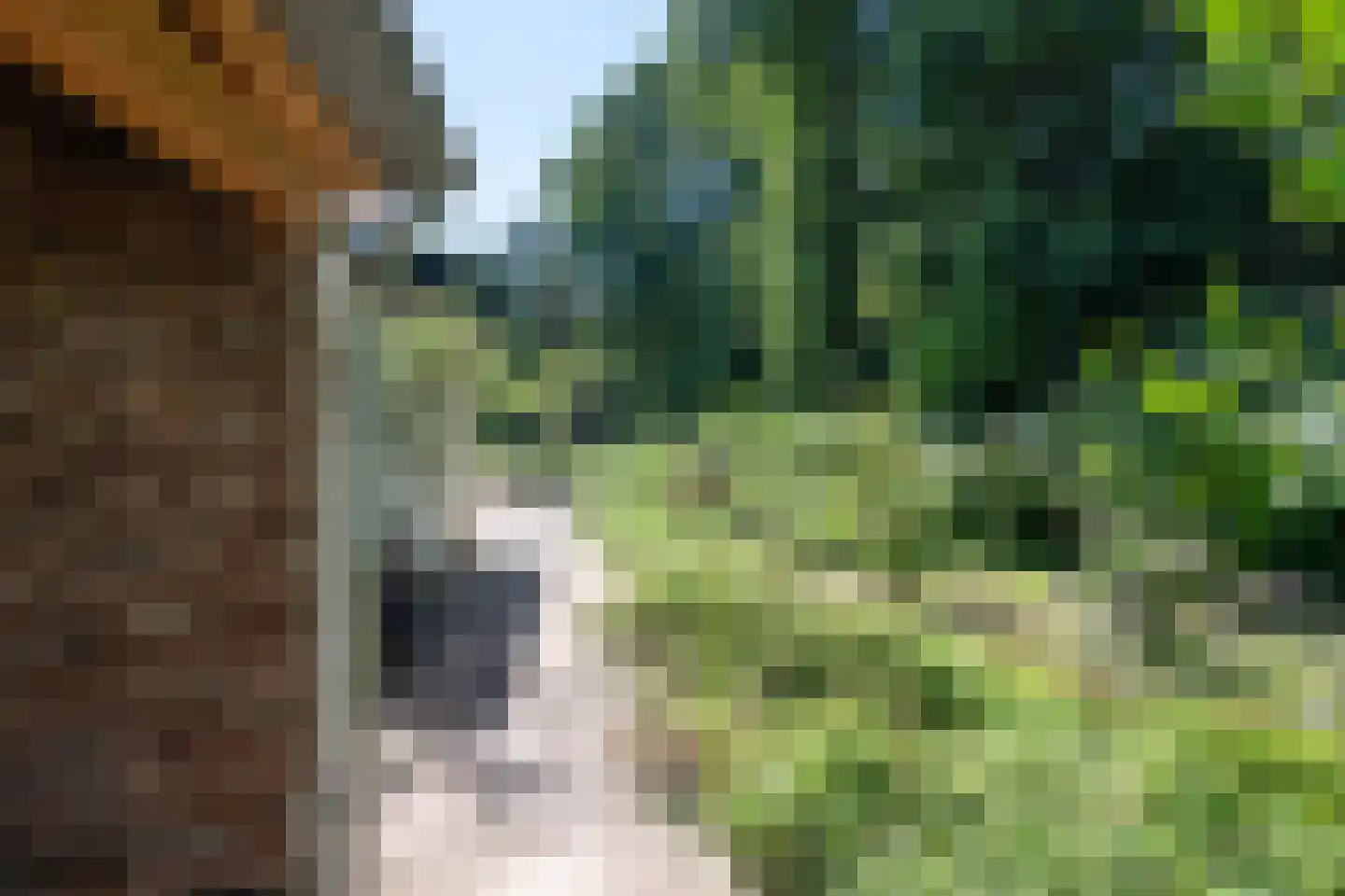 Moormanlaan 9 Knegsel thumbnail 66