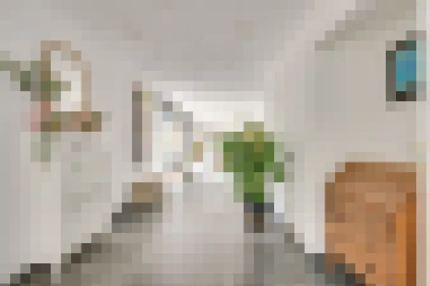 Moormanlaan 9 Knegsel thumbnail 7