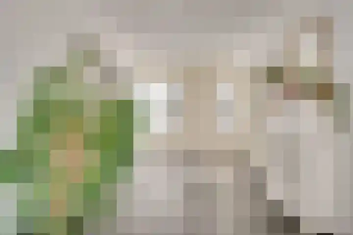 Moormanlaan 9 Knegsel thumbnail 7