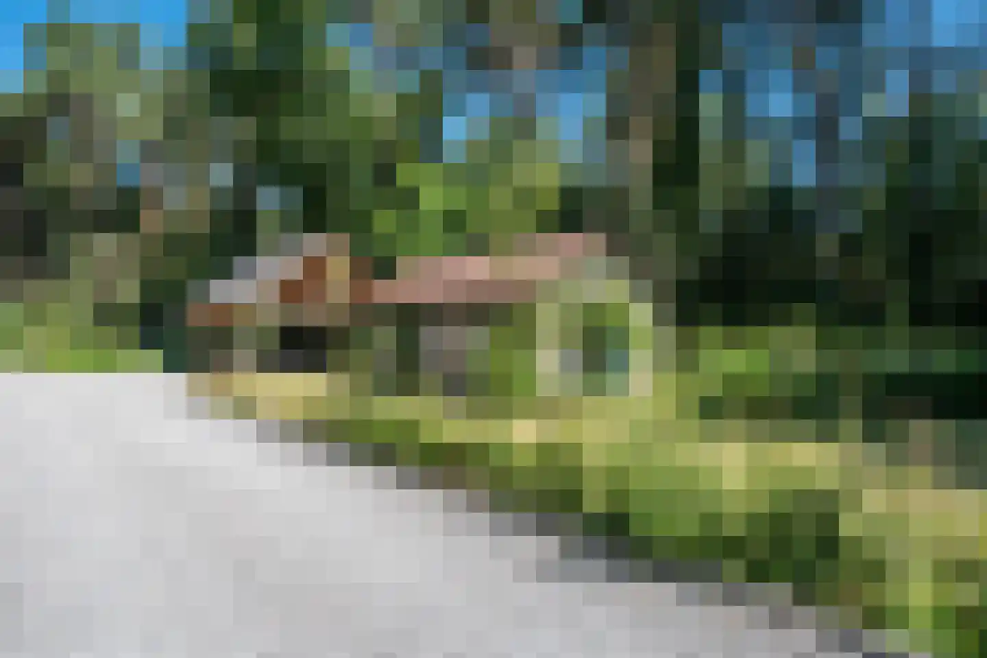 Moormanlaan 9 Knegsel thumbnail 73