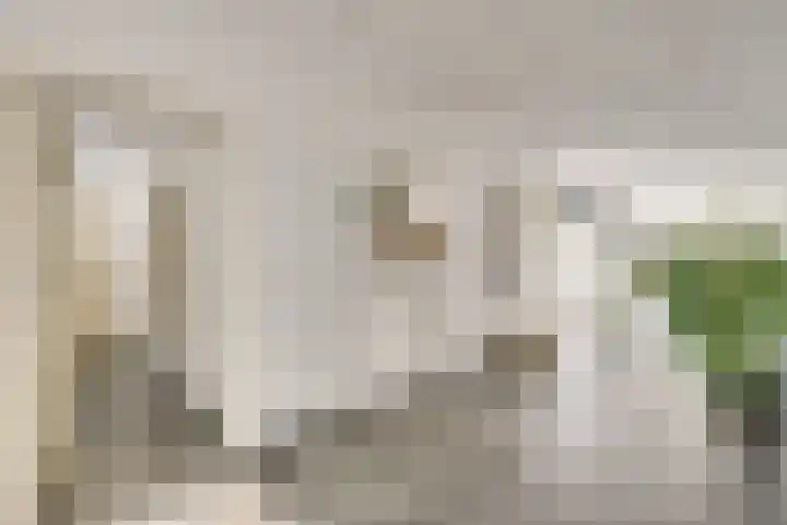 Moormanlaan 9 Knegsel thumbnail 9