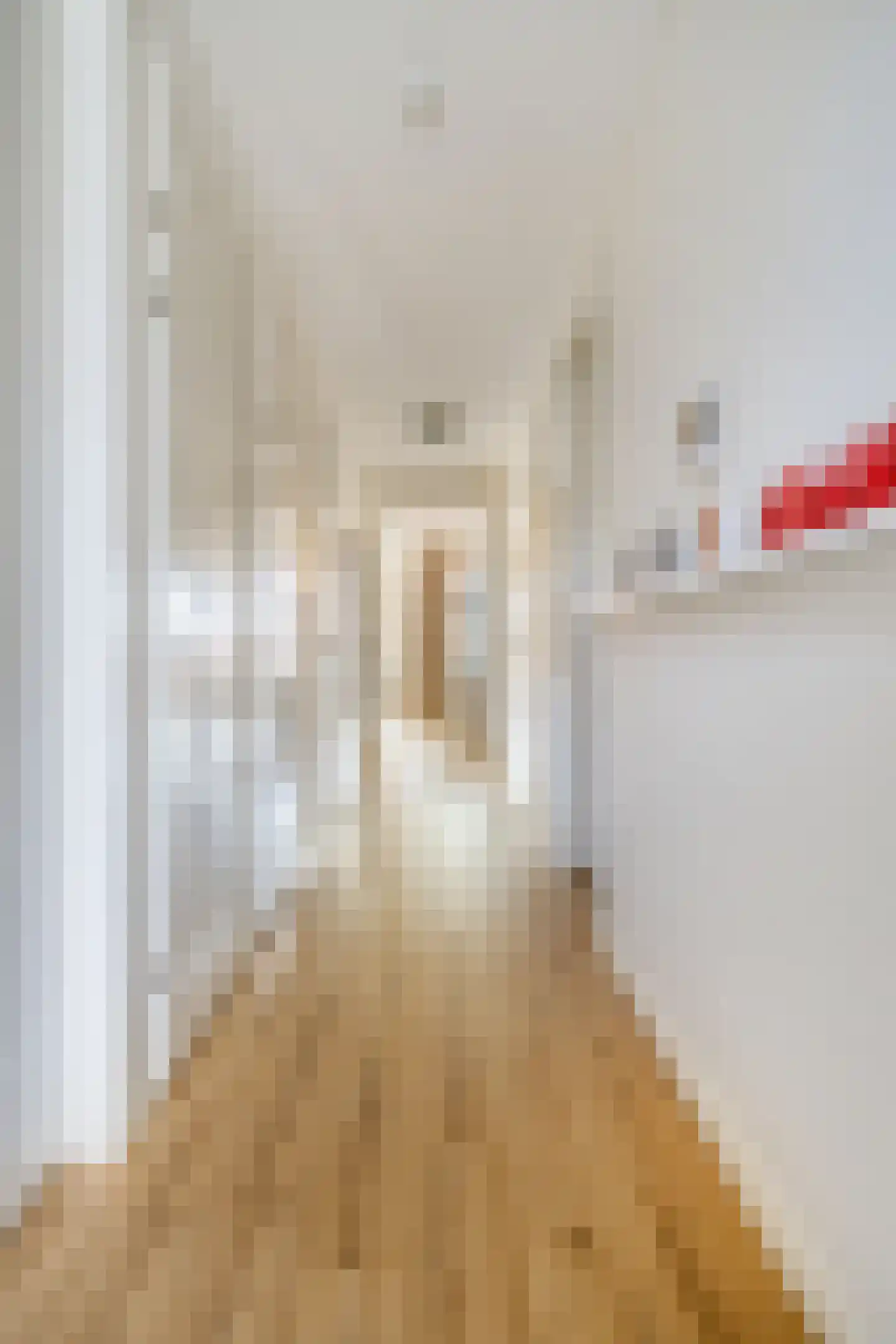 Moormannstraat 31 Lent thumbnail 9