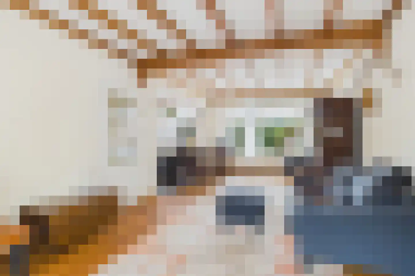 Moormanstraat 7 Hulst thumbnail 11