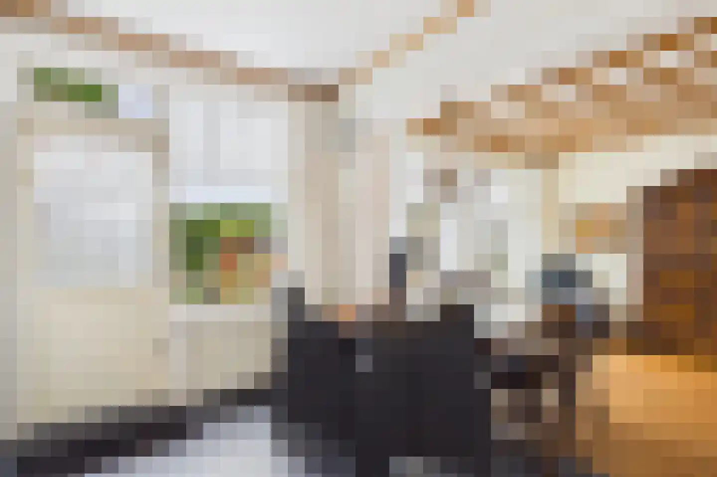 Moormanstraat 7 Hulst thumbnail 14