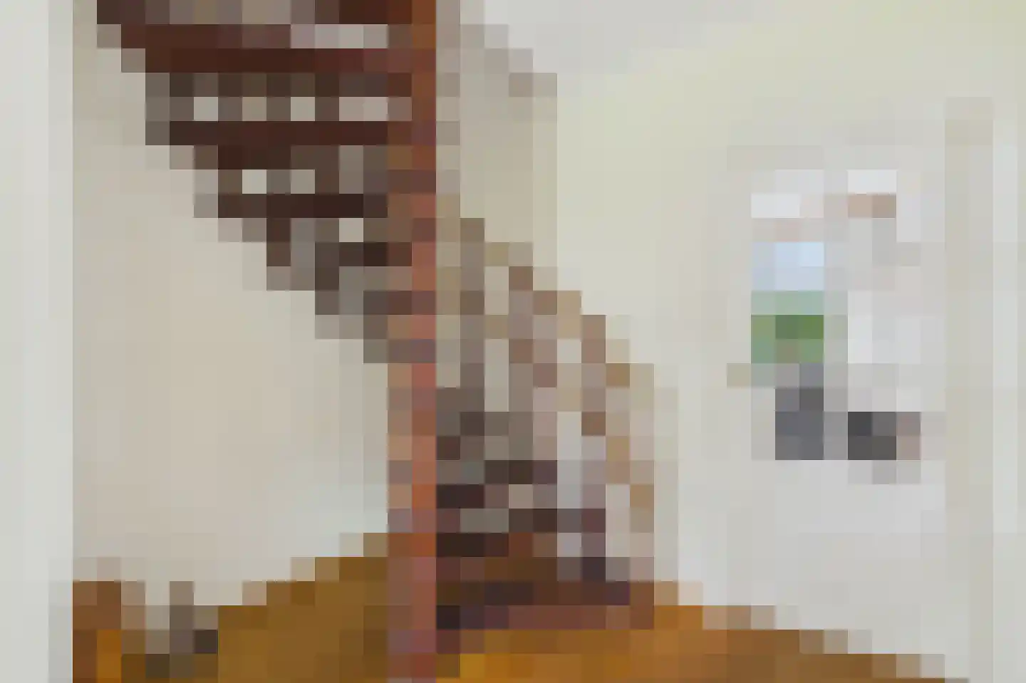 Moormanstraat 7 Hulst thumbnail 17