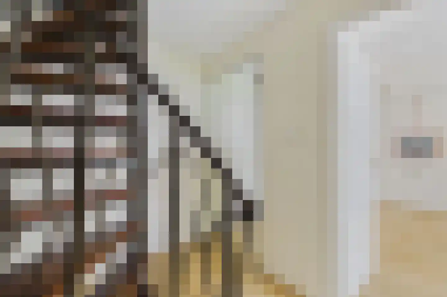 Moormanstraat 7 Hulst thumbnail 19