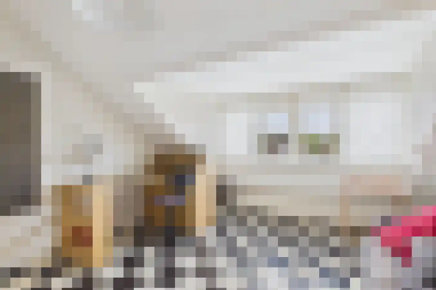 Moormanstraat 7 Hulst thumbnail 33