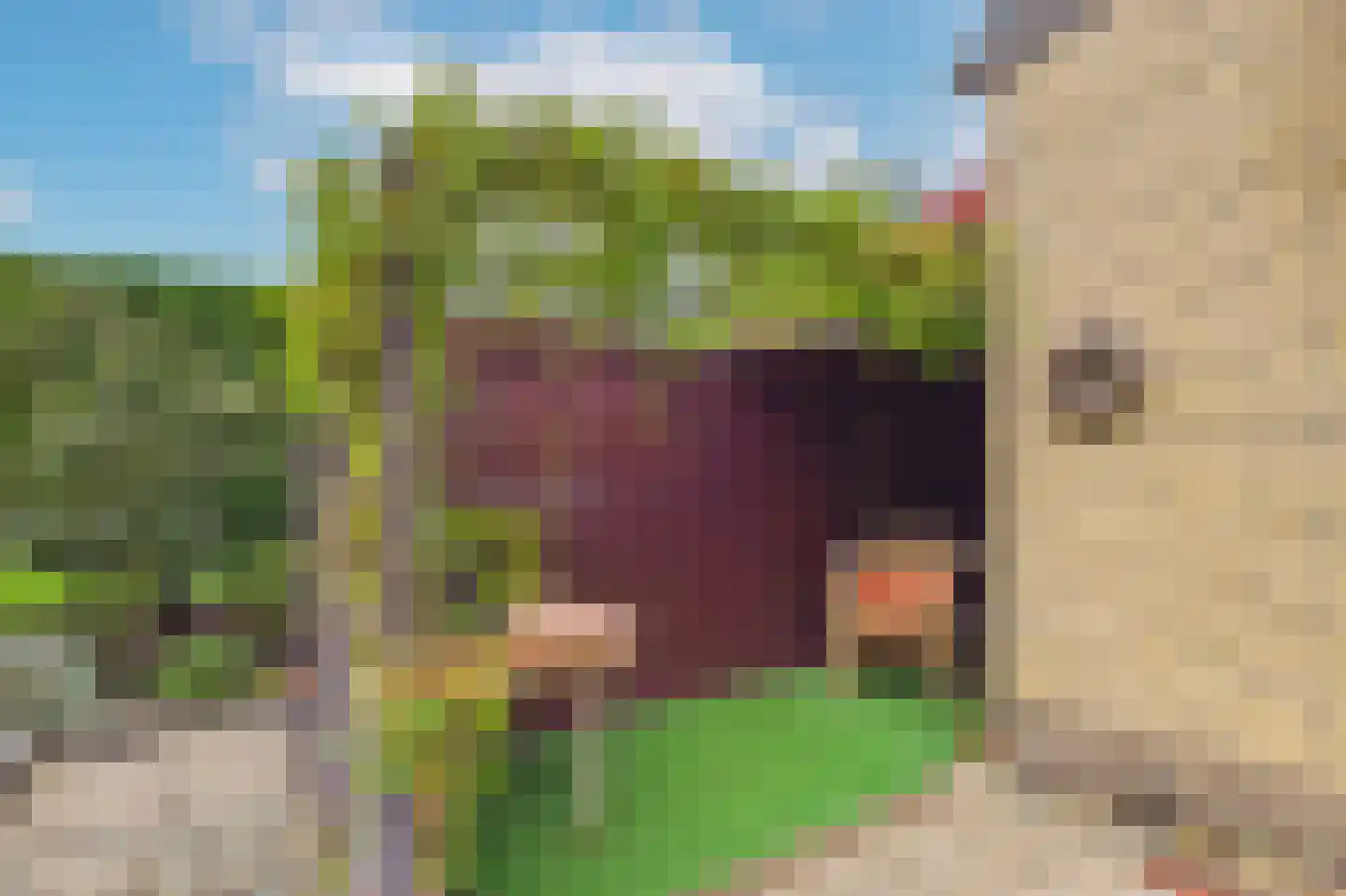 Moormanstraat 7 Hulst thumbnail 38