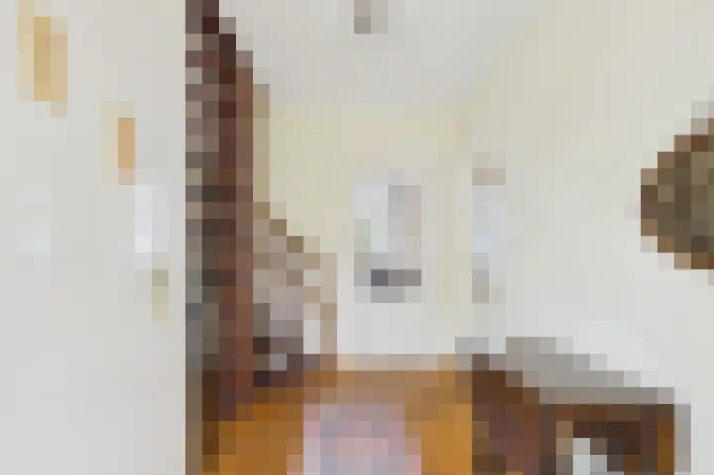 Moormanstraat 7 Hulst thumbnail 9