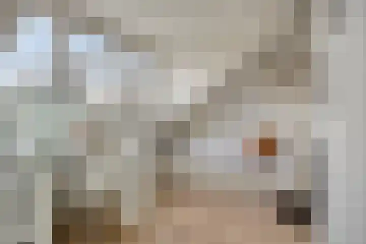 Moormanstraat 8 Hulst thumbnail 32