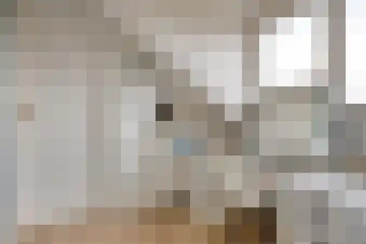Moormanstraat 8 Hulst thumbnail 33