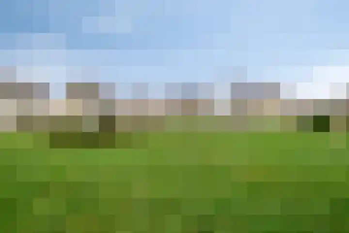 Moormanstraat 8 Hulst thumbnail 42