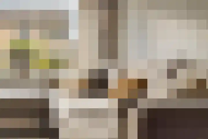 Moormanstraat 8 Hulst thumbnail 9