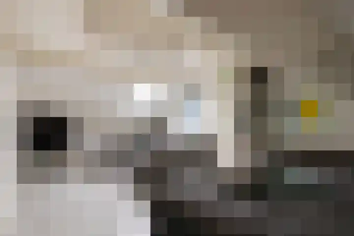 Moorselaar 51 Nijkerk thumbnail 33