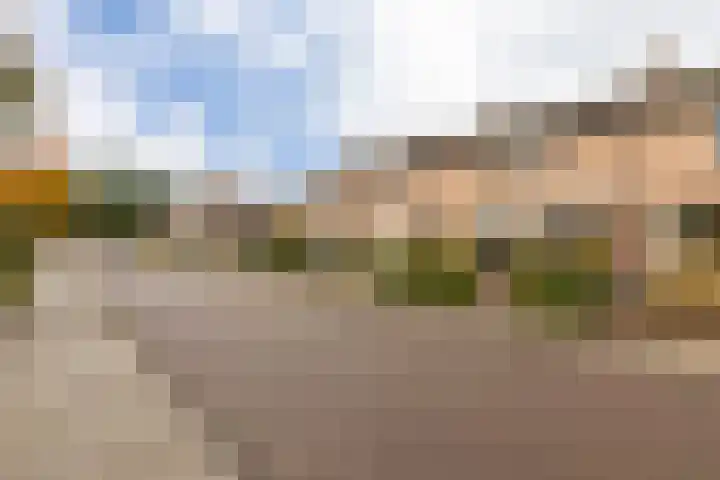 Moorselaar 51 Nijkerk thumbnail 43
