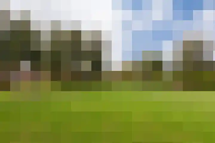 Moorselaar 51 Nijkerk thumbnail 44
