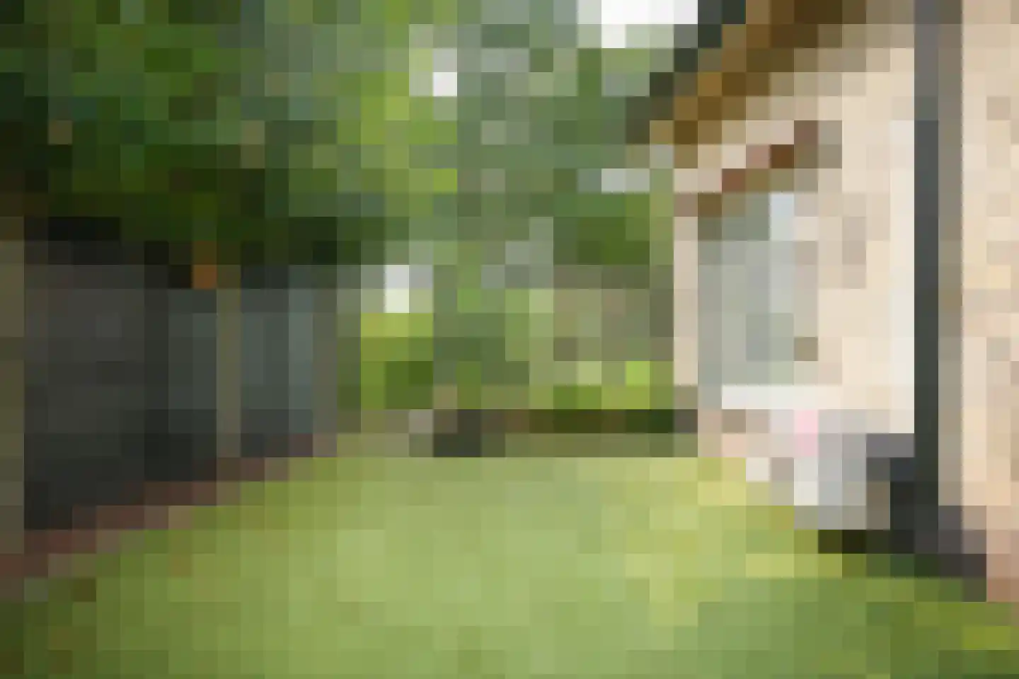 Moorsterweg 4 Woudenberg thumbnail 27