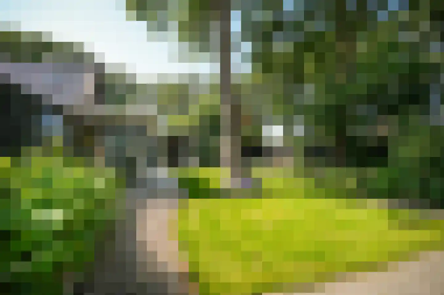 Moorsterweg 4 Woudenberg thumbnail 31