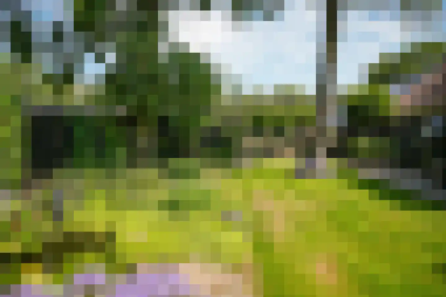 Moorsterweg 4 Woudenberg thumbnail 35