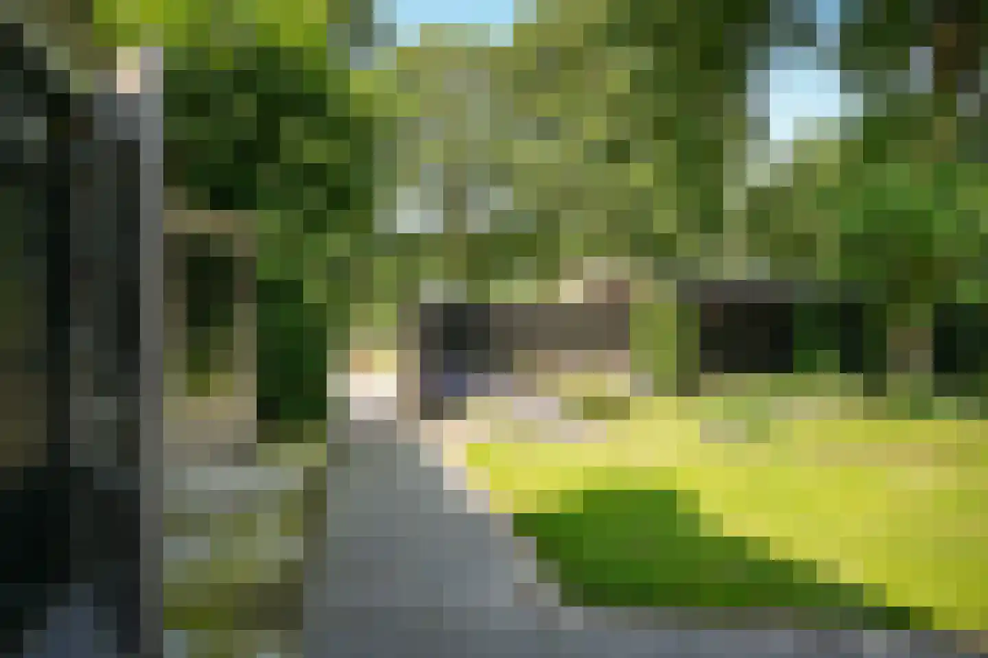 Moorsterweg 4 Woudenberg thumbnail 36