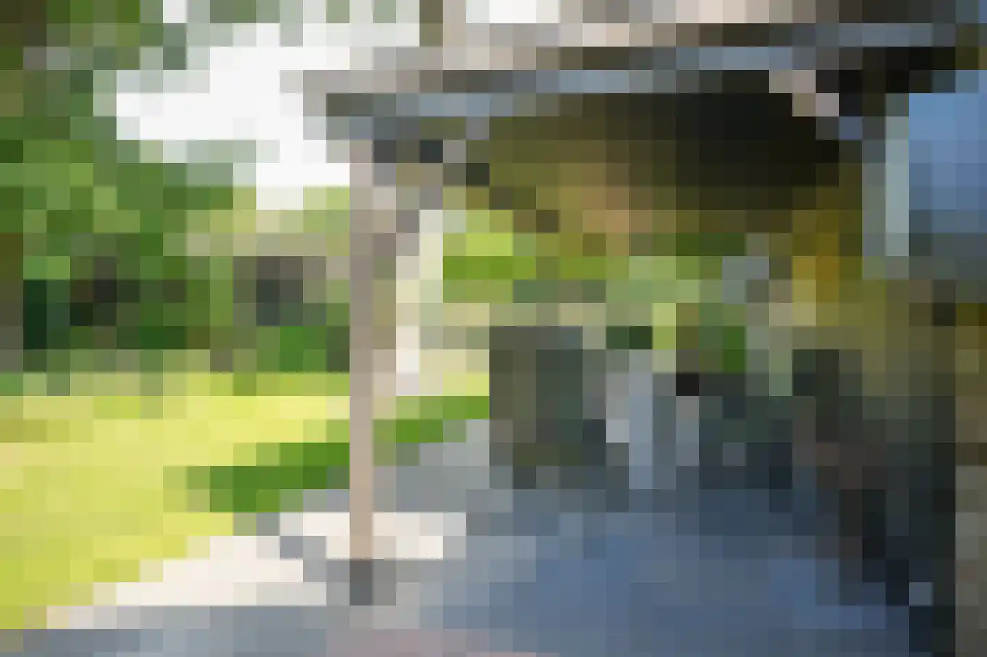 Moorsterweg 4 Woudenberg thumbnail 38