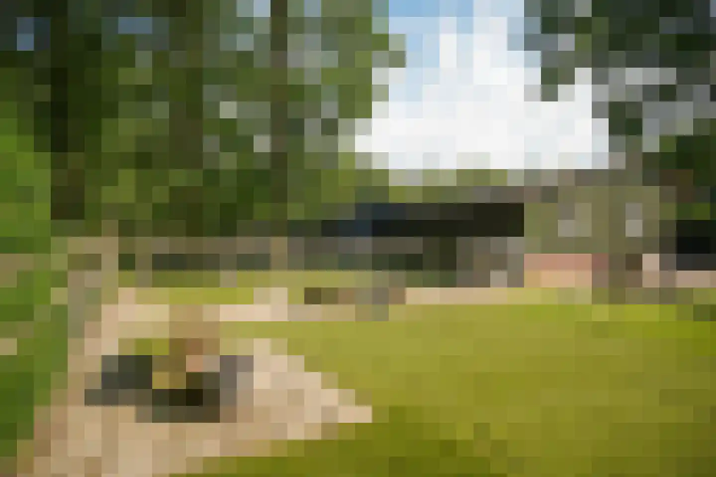 Moorsterweg 4 Woudenberg thumbnail 42