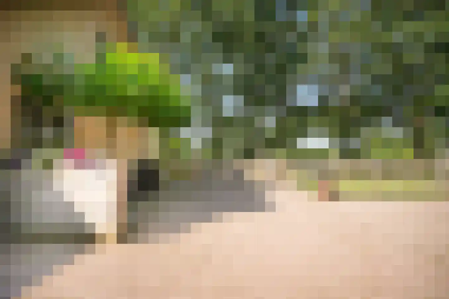 Moorsterweg 4 Woudenberg thumbnail 46