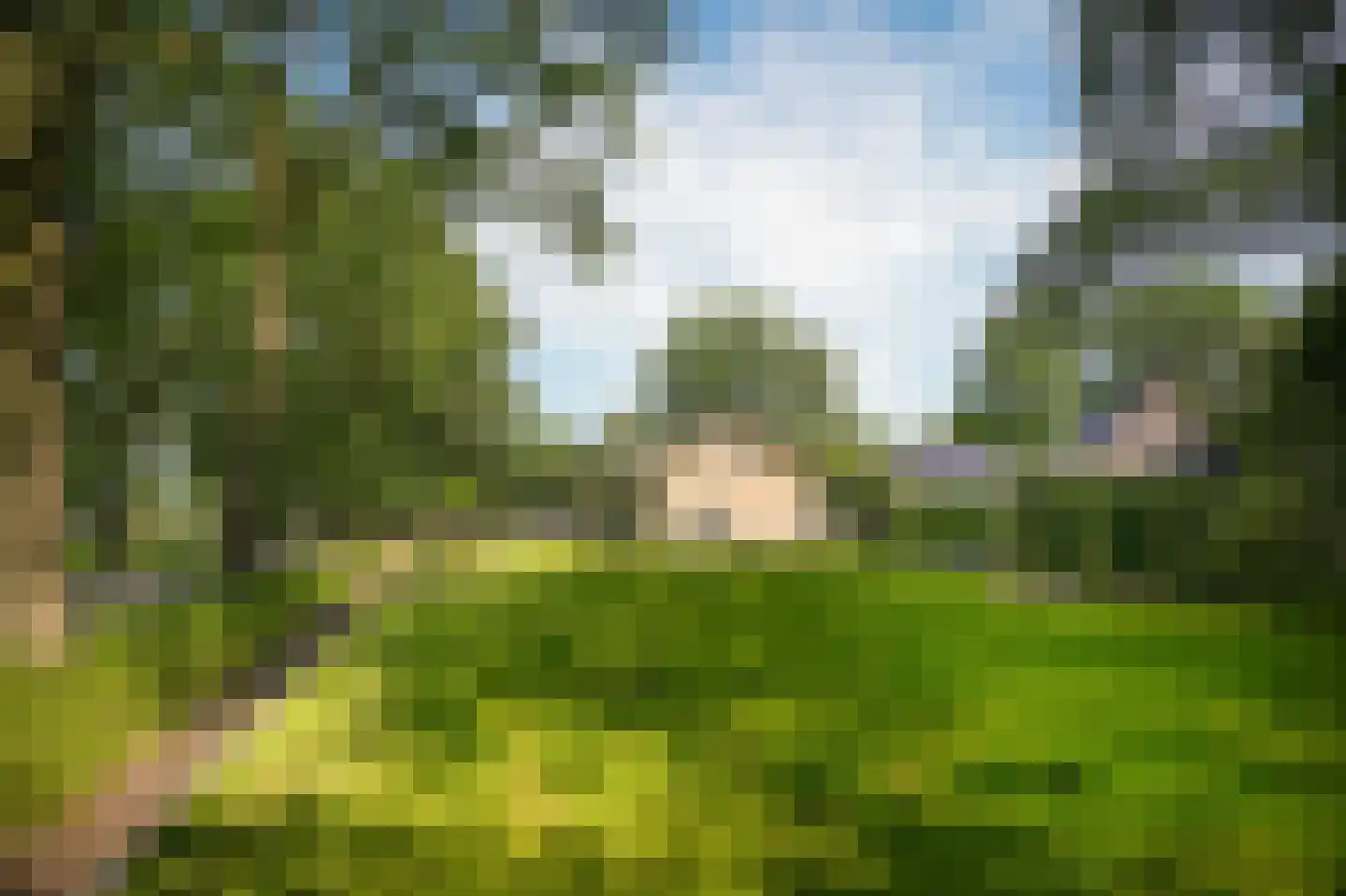 Moorsterweg 4 Woudenberg thumbnail 49
