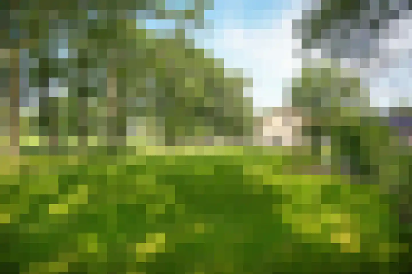 Moorsterweg 4 Woudenberg thumbnail 52