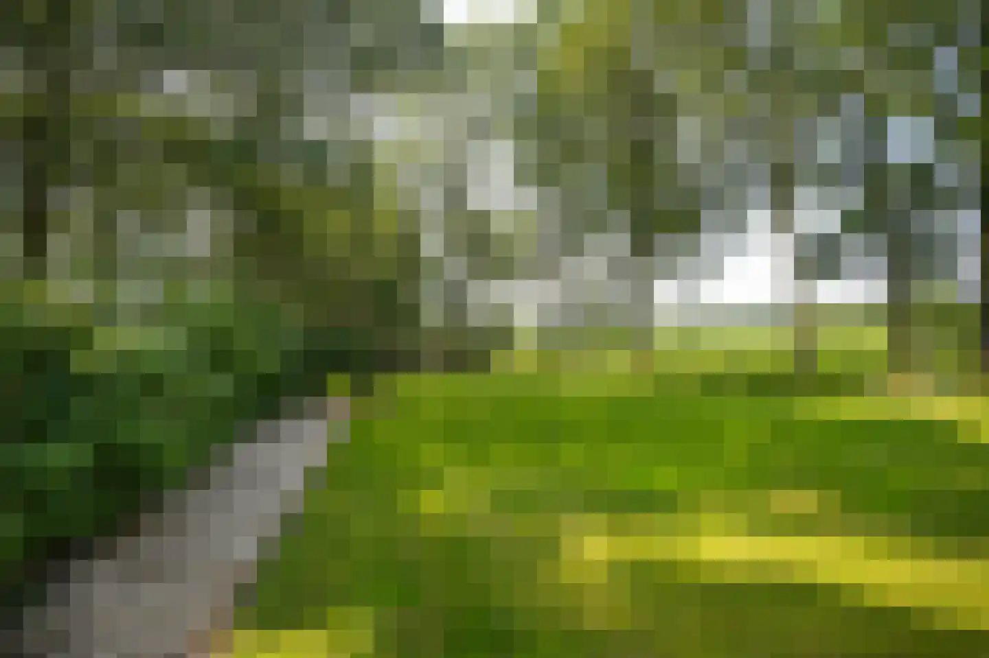 Moorsterweg 4 Woudenberg thumbnail 54