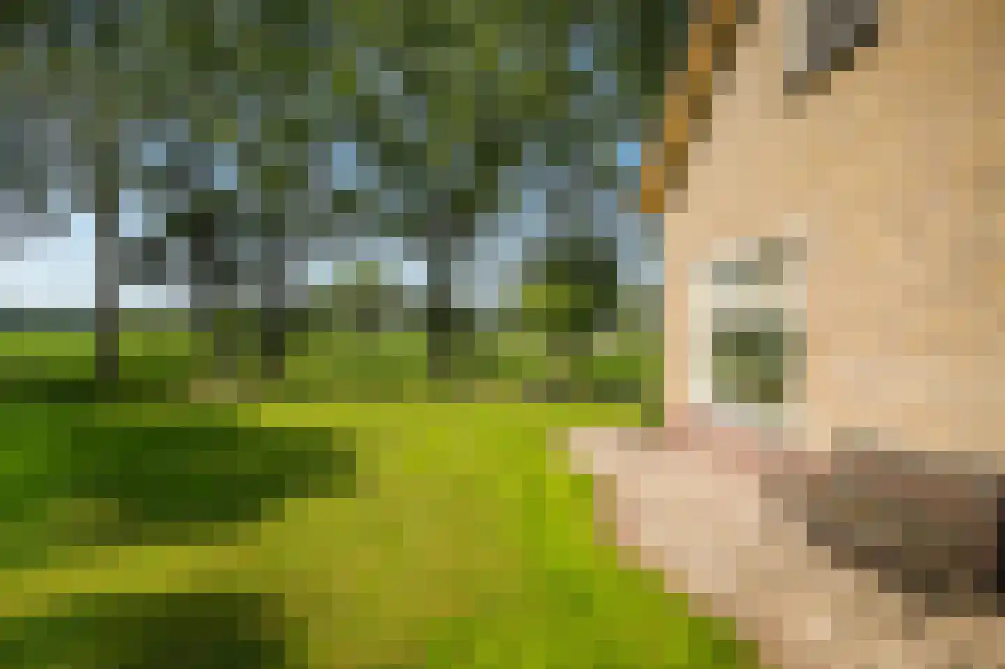 Moorsterweg 4 Woudenberg thumbnail 55