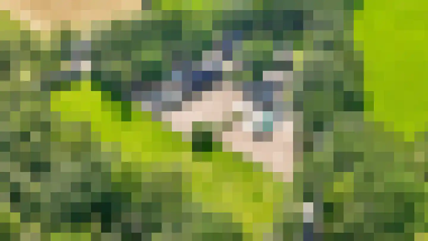 Moorsterweg 4 Woudenberg thumbnail 65