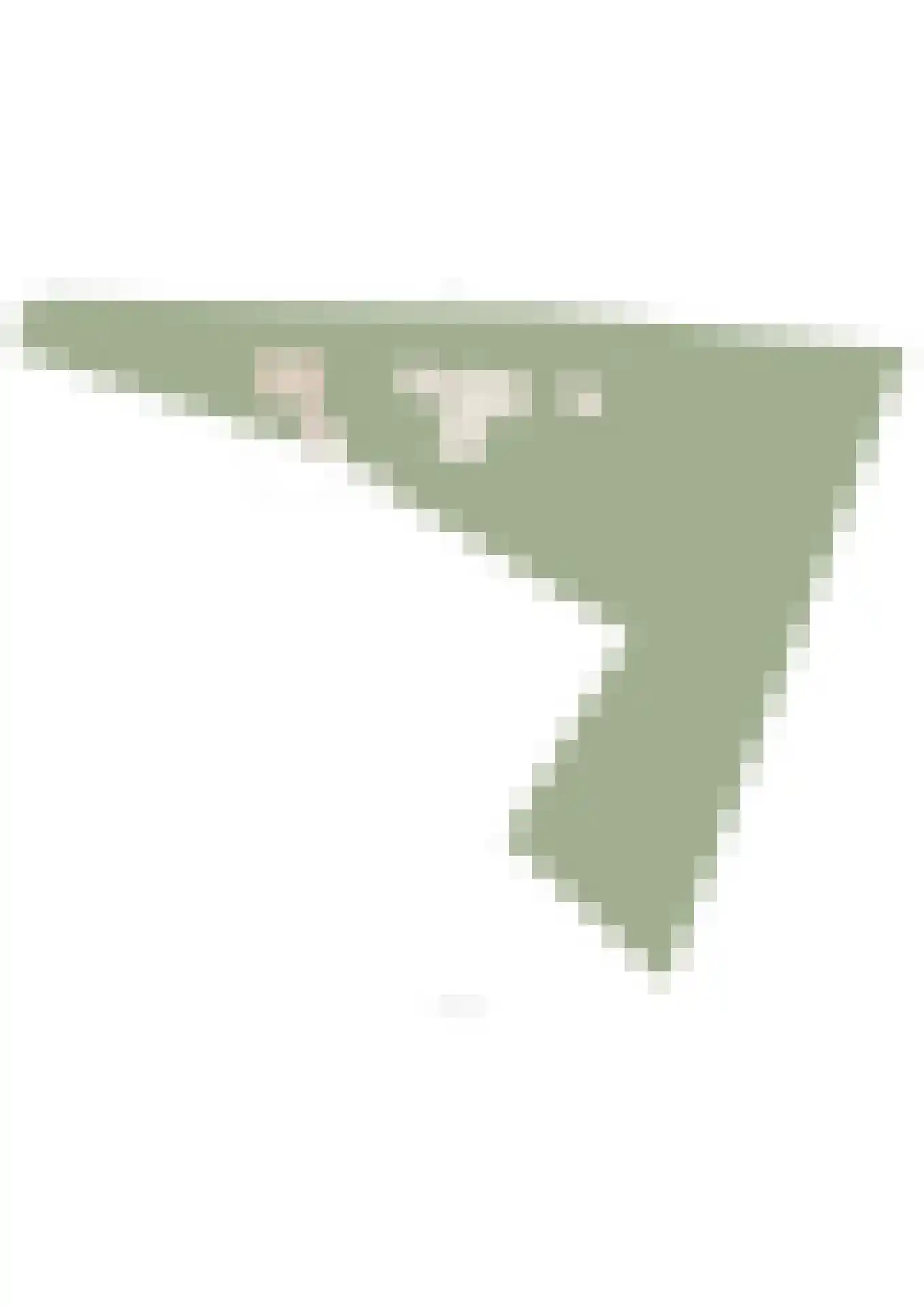 Moorsterweg 4 Woudenberg thumbnail 75