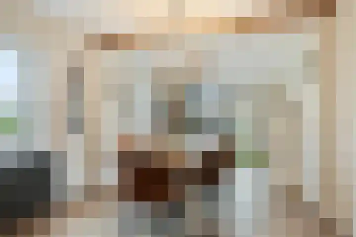 Moorveld 19 Liessel thumbnail 11