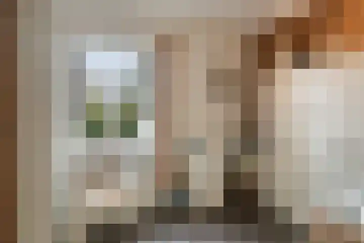 Moorveld 19 Liessel thumbnail 26