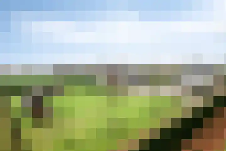 Moorveld 19 Liessel thumbnail 42