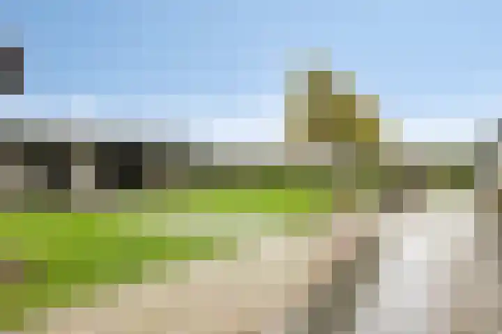 Moorveld 19 Liessel thumbnail 43