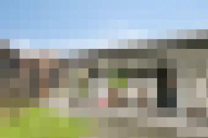 Moorveld 19 Liessel thumbnail 46