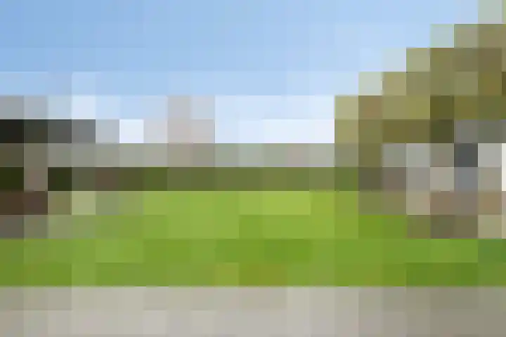 Moorveld 19 Liessel thumbnail 47