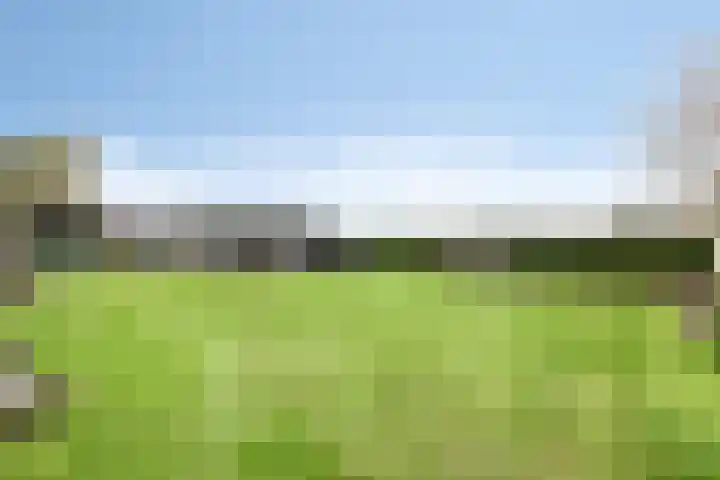 Moorveld 19 Liessel thumbnail 49