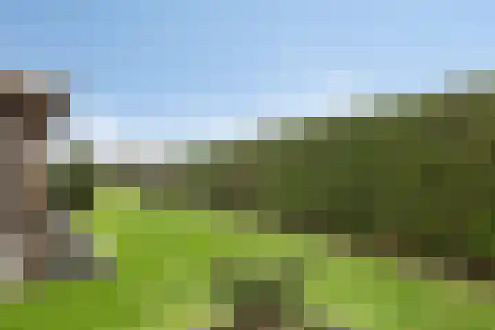 Moorveld 19 Liessel thumbnail 50
